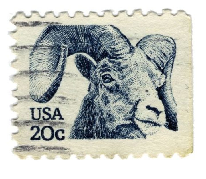Get Your Affordable 20 Cent Stamp Today!