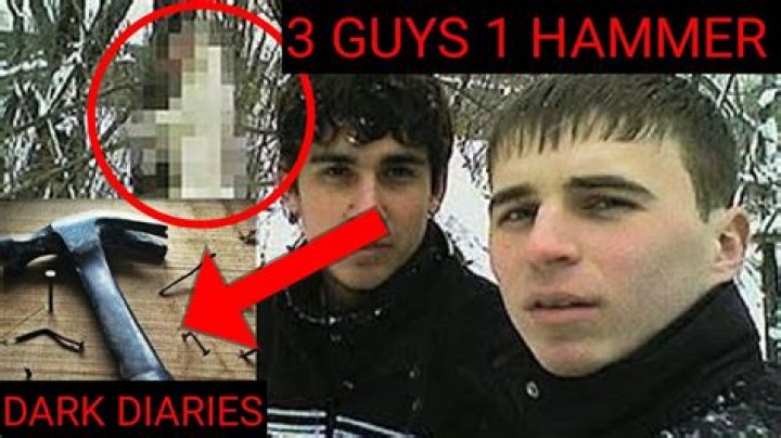 Exploring the Dark Reality of "3man 1 hammer"