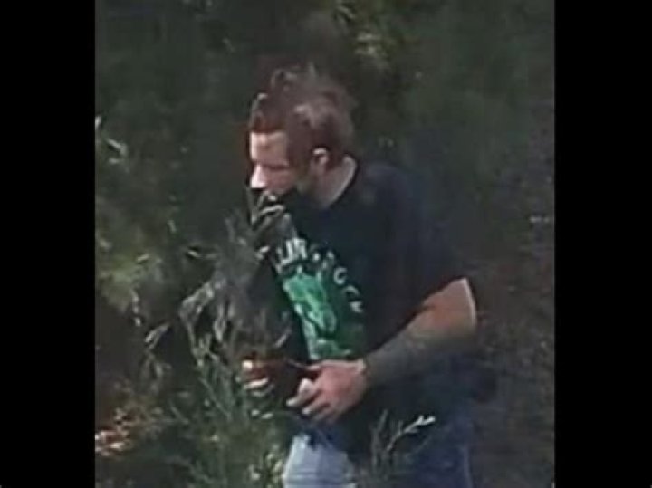 Unraveling the Mystery of 3man1hammer: A Deep Dive into a Notorious Internet Phenomenon