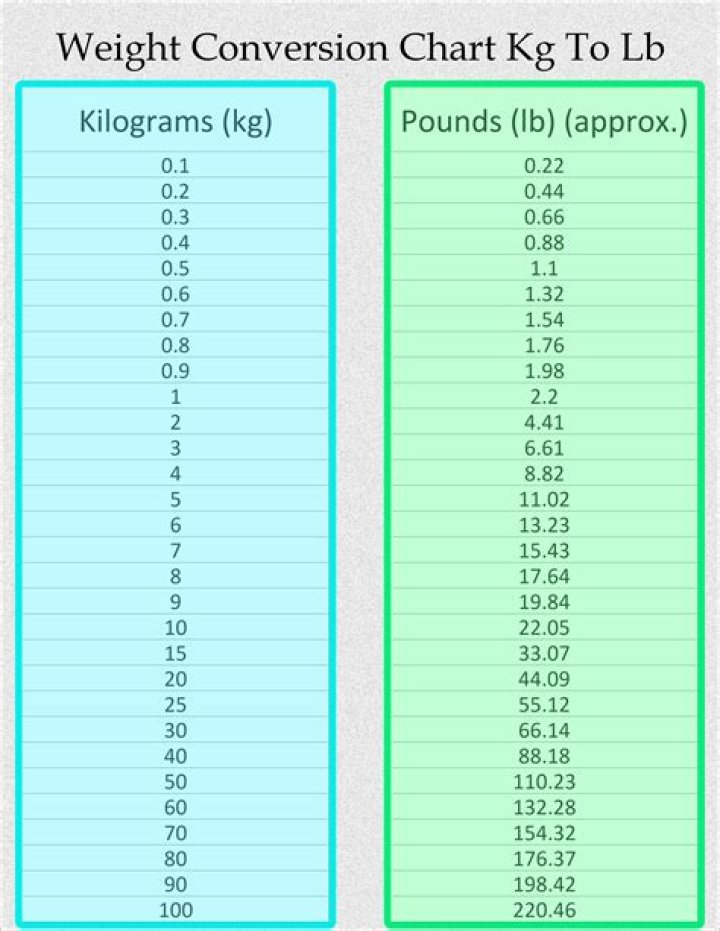 Understanding the Conversion: 62.2 kg to lbs