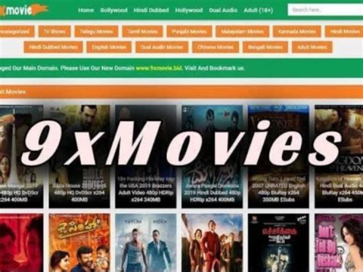 9xMovies Hub: The Ultimate Guide to Understanding and Navigating the Platform