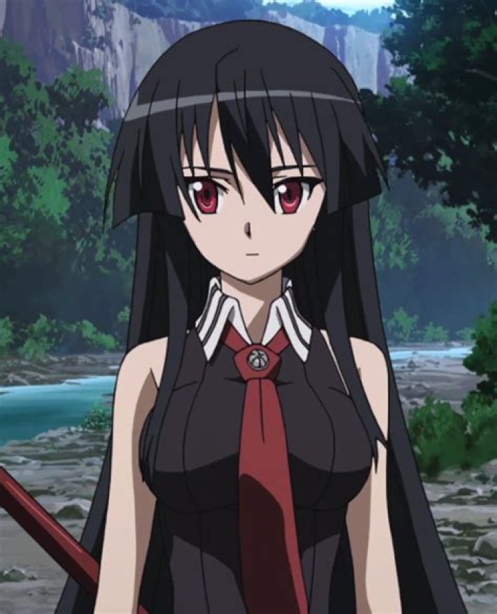 Exploring Akame Wiki: The Ultimate Guide