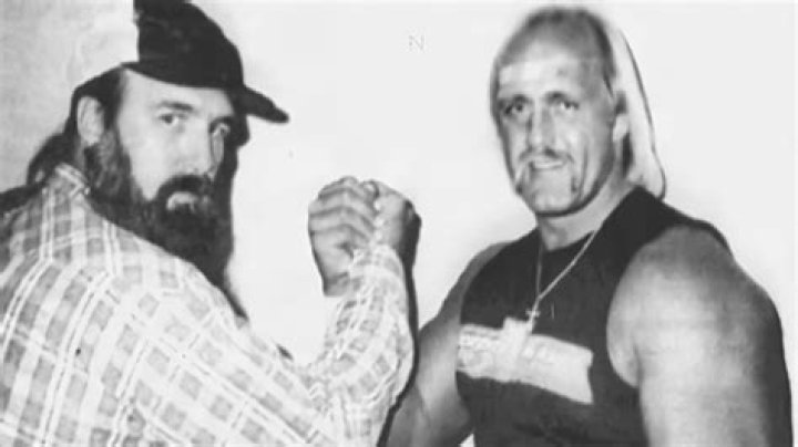 Unveiling the Life and Works of Alan Bollea