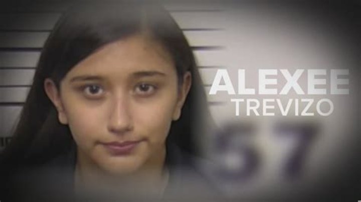 All About Alexee Trevisos: A Rising Star in Social Media