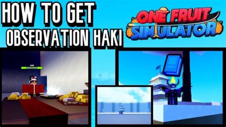 Unleashing Power in the All Haki One Fruit Simulator