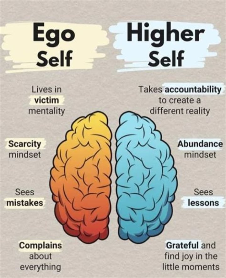 All Hub Movies: Your Ultimate Guide to Streaming and Entertainment