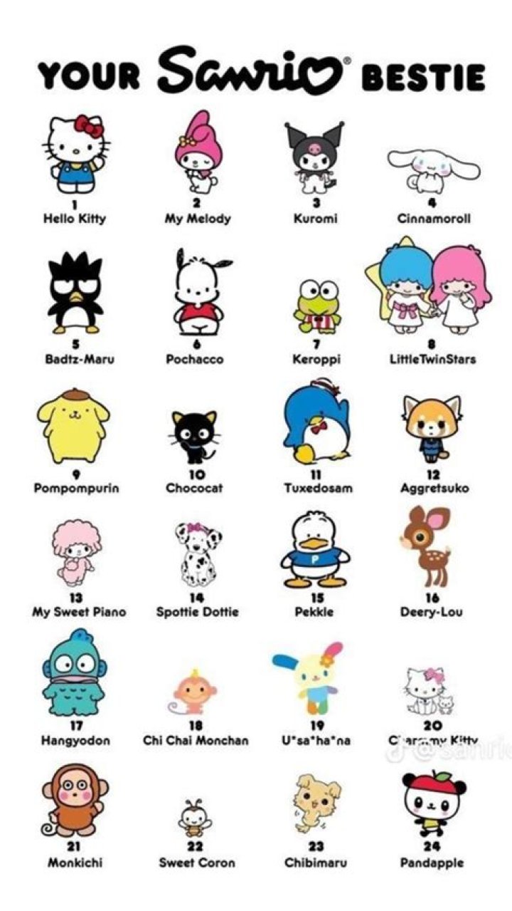 Exploring the Enchanting World of All Sanrio Characters