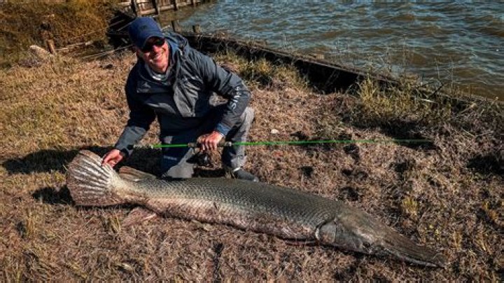 Alligator Gar World Record Length: Discover the Largest Alligator Gar Ever Caught
