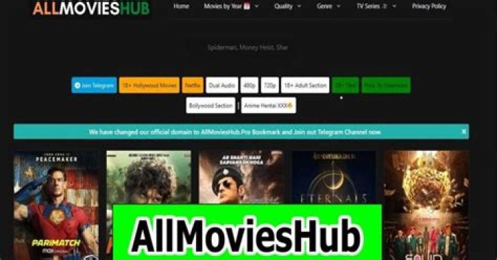 Allmovieshub 300MB Movies: Your Ultimate Guide to Downloading and Streaming