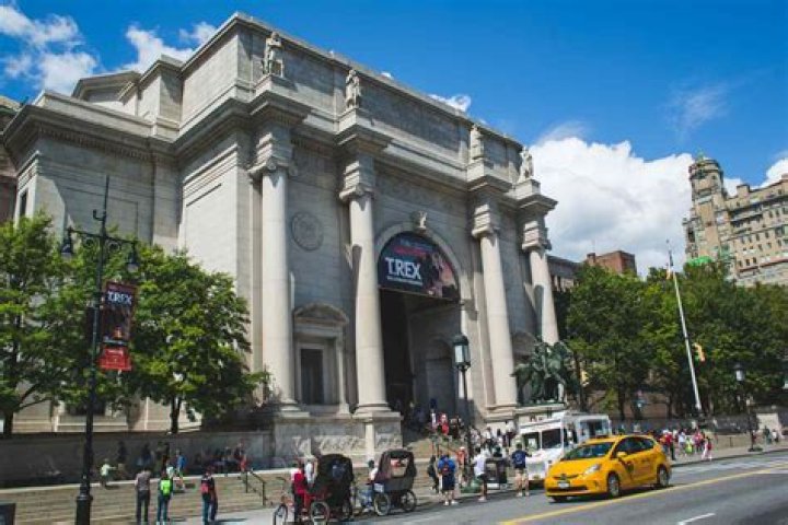 Exploring the American Museum of Natural History: A Comprehensive Guide
