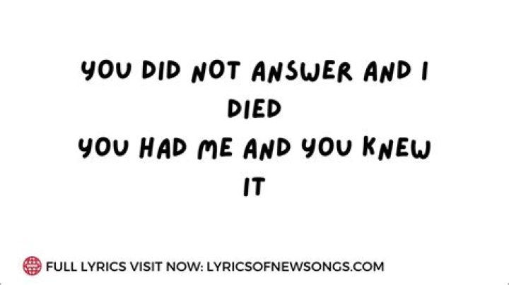 A Deep Dive into "Amor Tumbado Lyrics English" and Its Meaning