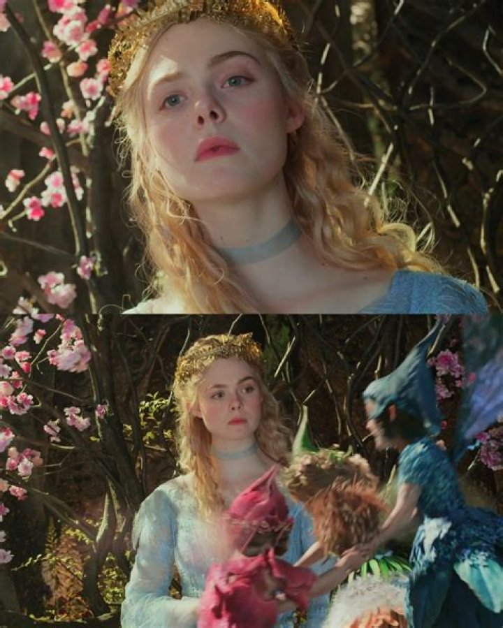 Andie Elle Movie: A Cinematic Journey into the World of Andie Elle