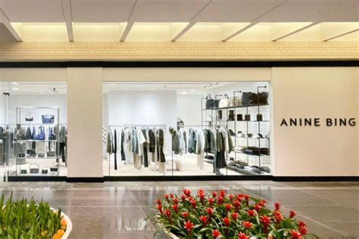 Anine Bing: The Rise of a Fashion Icon and Entrepreneur