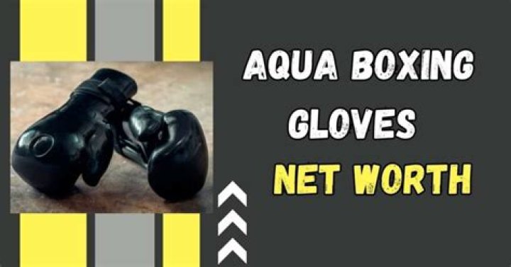 Secrets to Aqua Boxing Gloves' Financial Success: Net Worth Insights