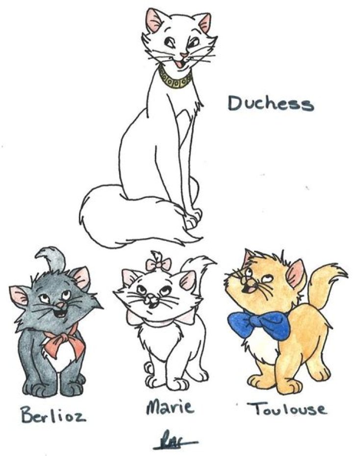 Discovering the Charm of Aristocats Names