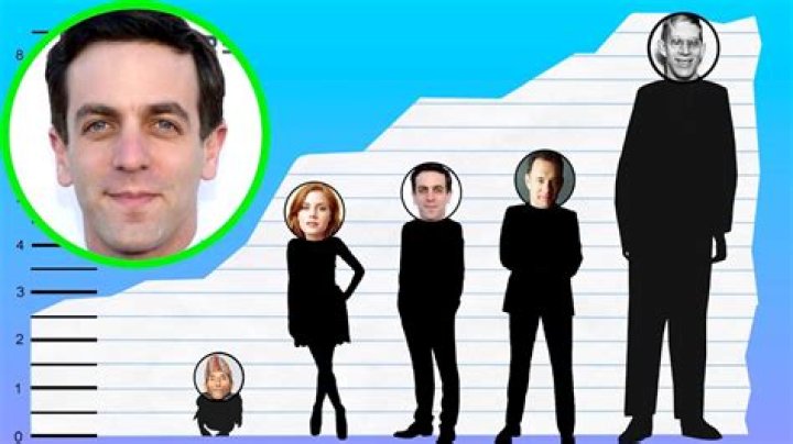 B. J. Novak Height: Everything You Need to Know About the Multifaceted Star