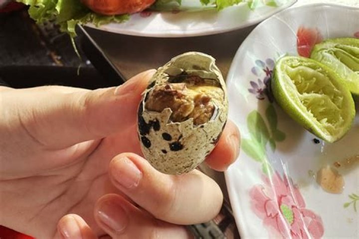 Complete Guide to Balut Chicken Eggs: A Unique Culinary Experience