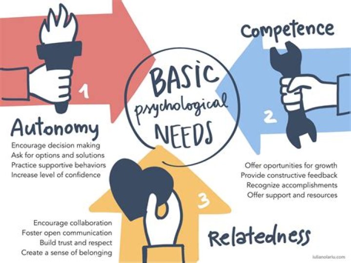 Best Desi Resources: Unlocking the Potential of MyDesiIn