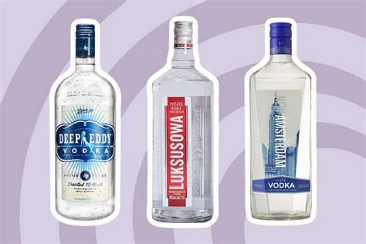 Best Inexpensive Vodka: A Comprehensive Guide to Affordable Choices