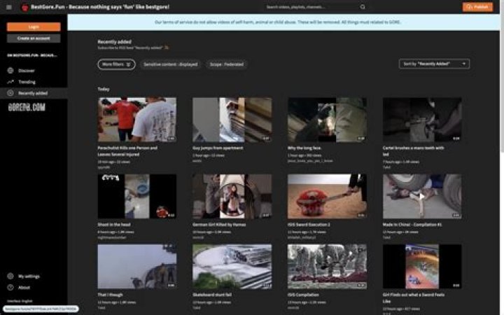 Bestgore Alternative: Exploring the Best Platforms for Shock Media Enthusiasts