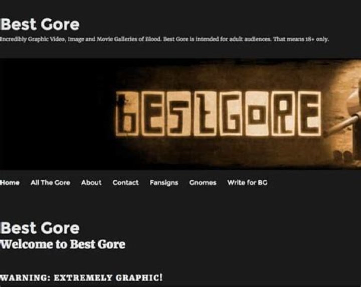 Exploring the Best Alternatives to Bestgore: A Comprehensive Guide