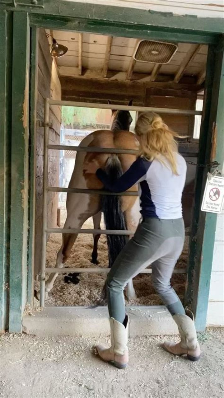 Beth Behrs: A Comprehensive Look at Her Career, Life, and Achievements