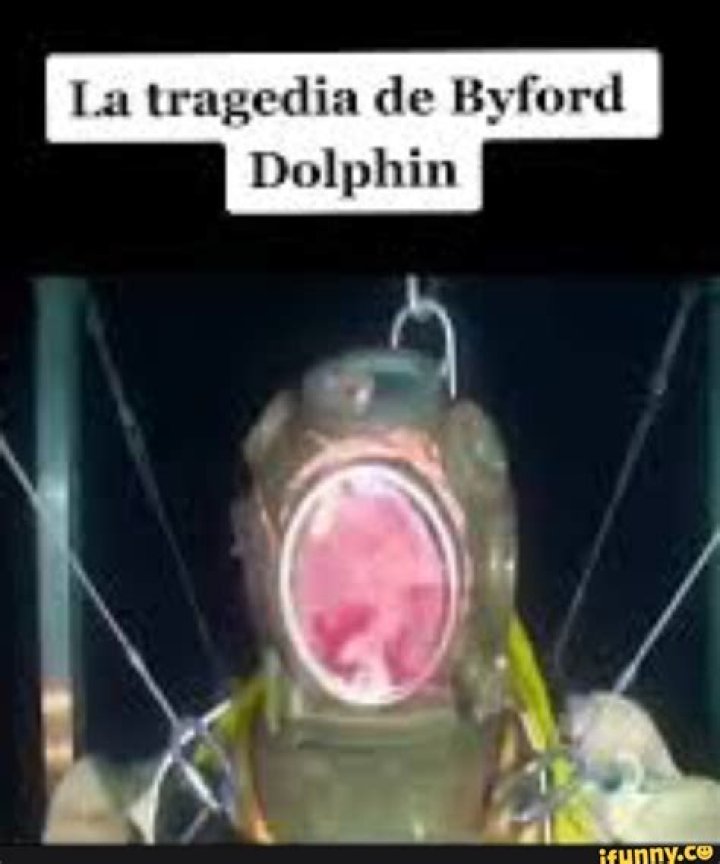 Unraveling the Mystery of the BI4 Dolphin Incident