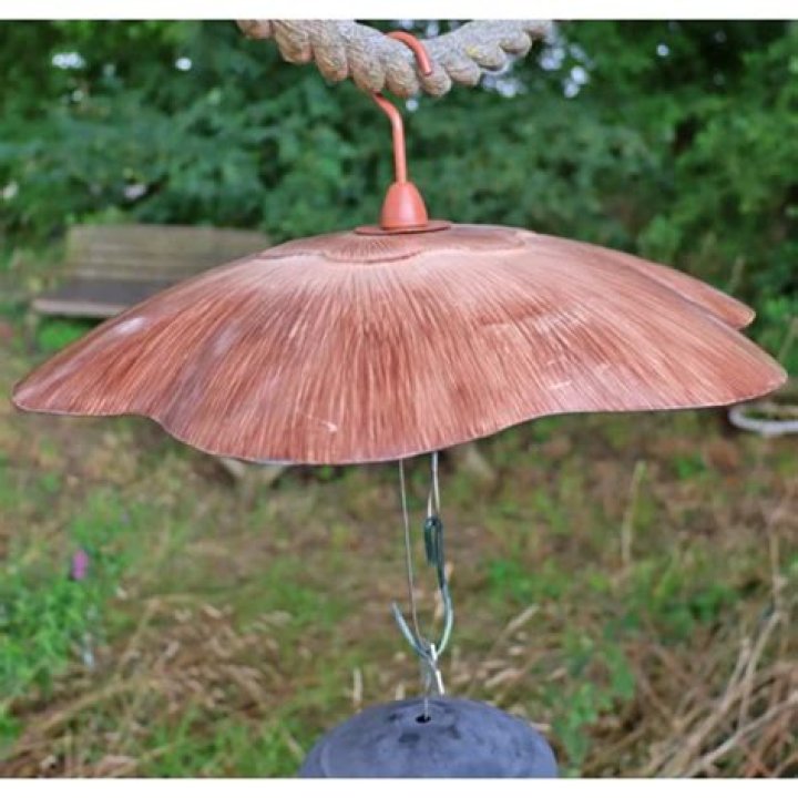 Bird Feeder Baffle: The Ultimate Guide to Protect Your Feeder and Attract More Birds