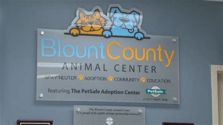 Blount County Animal Center: A Comprehensive Guide to Animal Welfare and Adoption