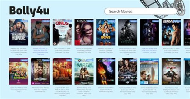 Boll4u: Revolutionizing Online Shopping Experiences