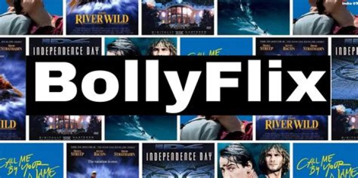 Bollyflix.africa: A Comprehensive Guide to the Rising Streaming Platform
