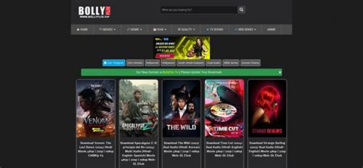 Bollyflix.boo: The Ultimate Guide to Accessing Bollywood Movies Online