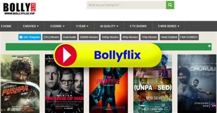 Bollyflix.co: The Ultimate Destination for Bollywood Enthusiasts