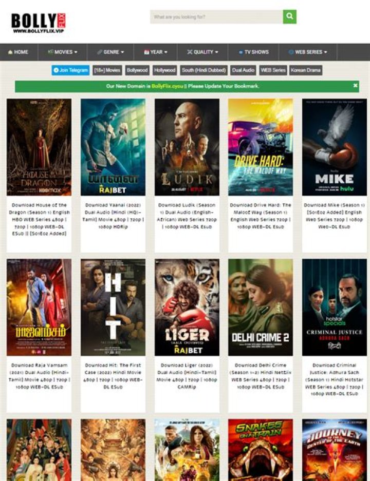 BollyFlix.com: Your Ultimate Destination for Bollywood Movies