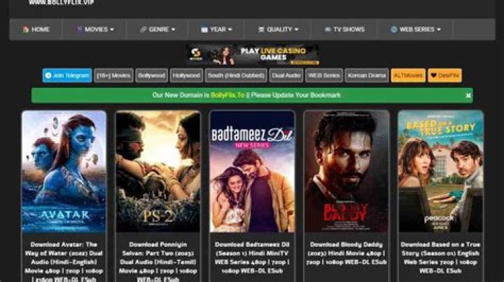 Bollyflix.io In: Your Ultimate Guide to Indian Movies and Series