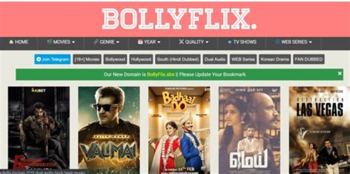 Bollyflix.pet: Your Ultimate Destination for Bollywood Entertainment