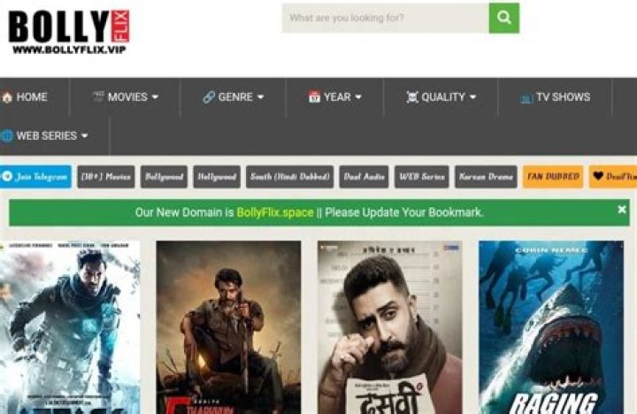 Bollyflix. Space: Your Ultimate Destination for Bollywood Entertainment