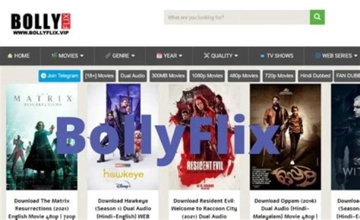 Bollyflix.to.com: Your Ultimate Guide to Indian Movies Online