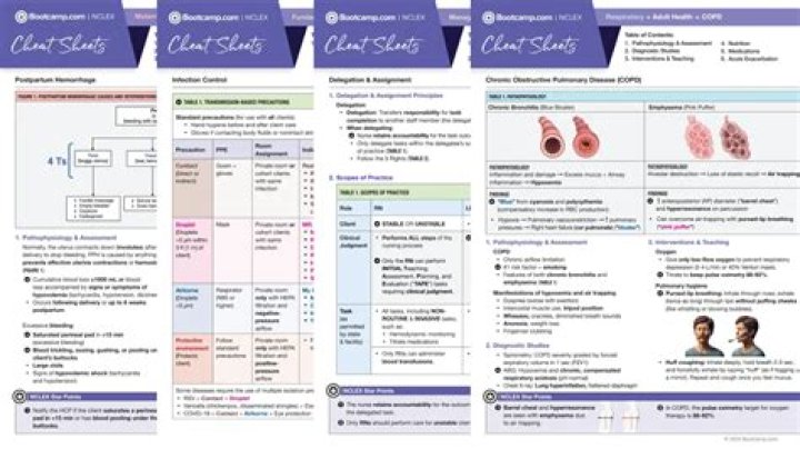 Bootcamp NCLEX: Your Ultimate Guide to Passing the NCLEX Exam