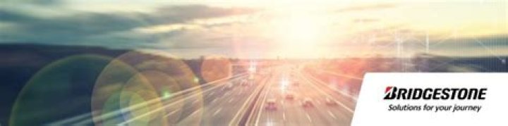 Bridgestone: Government Tire Solutions and Fleet Management