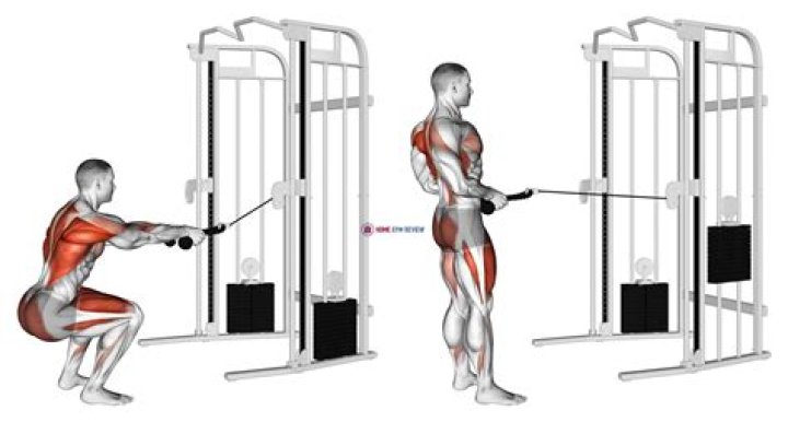 Cable Squat: The Ultimate Guide to Mastering this Effective Exercise