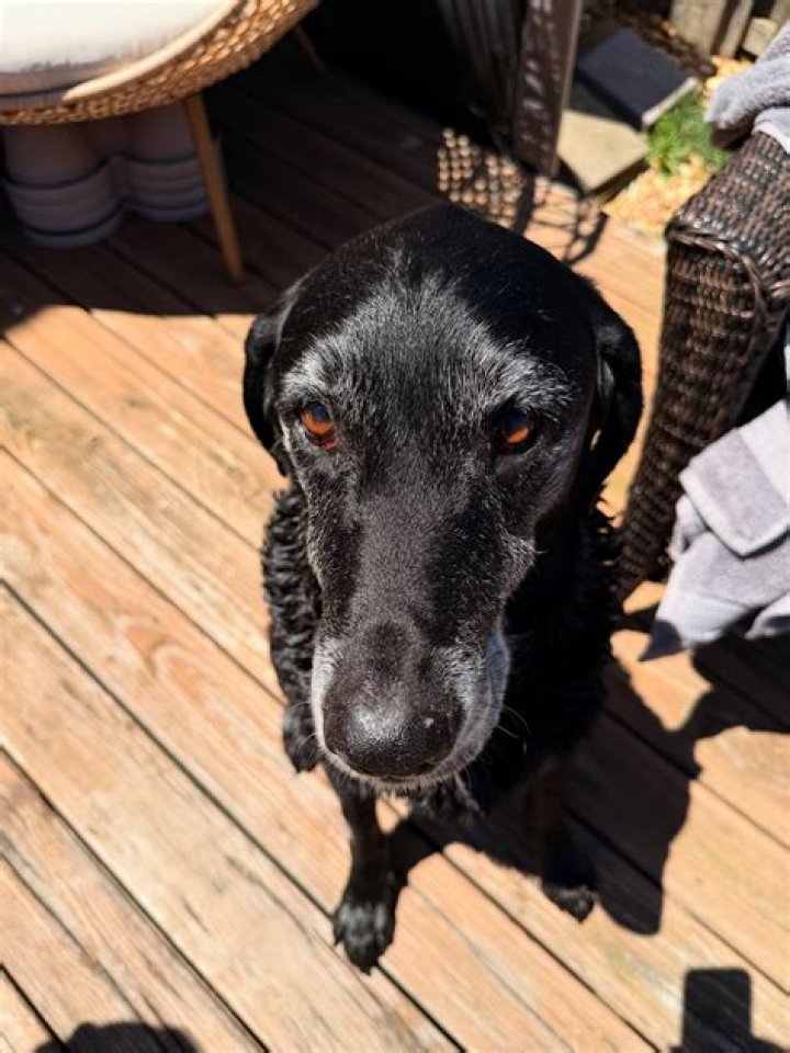 Unveiling the Journey of Caileylonnie Erome: A Rising Star