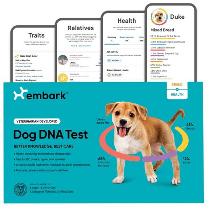 Can Dog DNA Test Tell Age? Understanding Canine DNA Testing