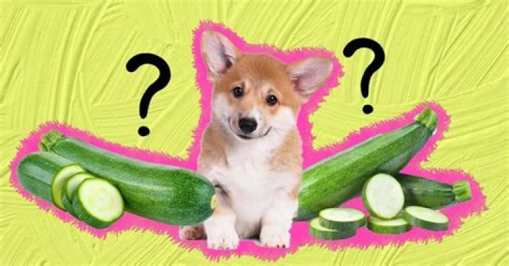 Can Dogs Eat Zucchini? A Comprehensive Guide
