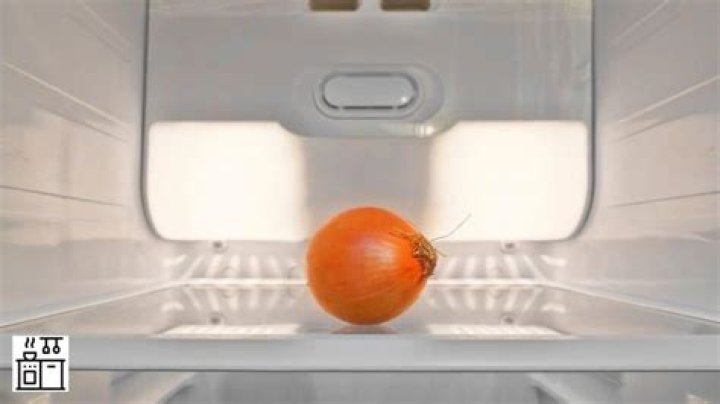 Storing Onions: Is the Refrigerator the Right Place?