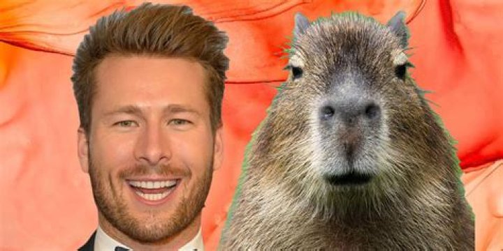 Capybara Glen Powell: The Rise of a Unique Celebrity and His Connection with Capybaras