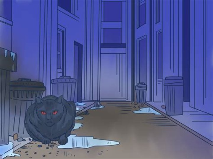 Unleashing Fun: The Ultimate Cat Scratch Game Experience