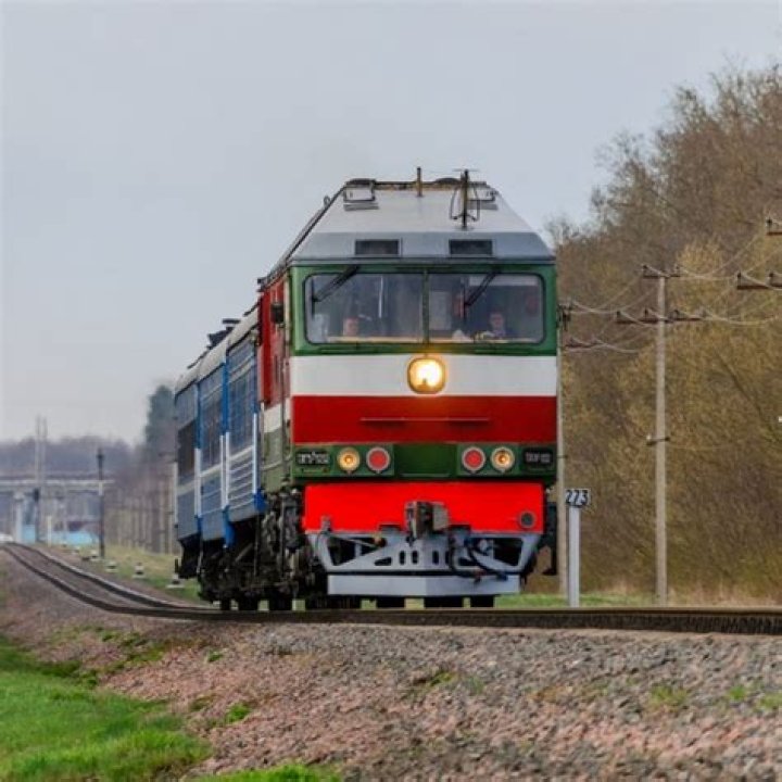 Discovering the World of CatZHD: A Feline Adventure