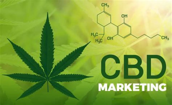 CBD SEO Marketing: The Ultimate Guide to Boosting Your Business Online