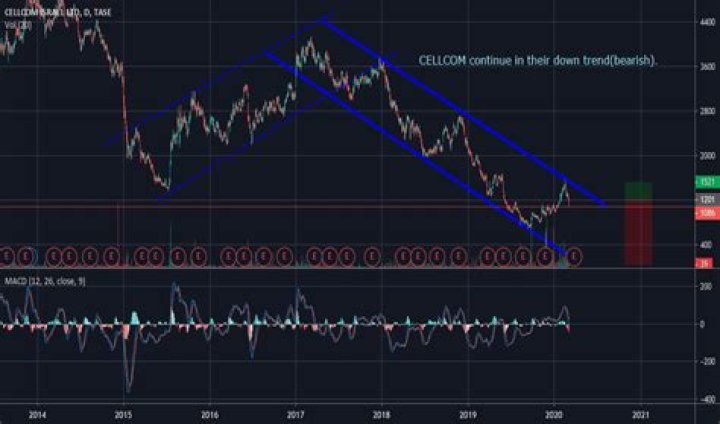 Uncover the Future of CEI Stock: Expert Predictions and Insights